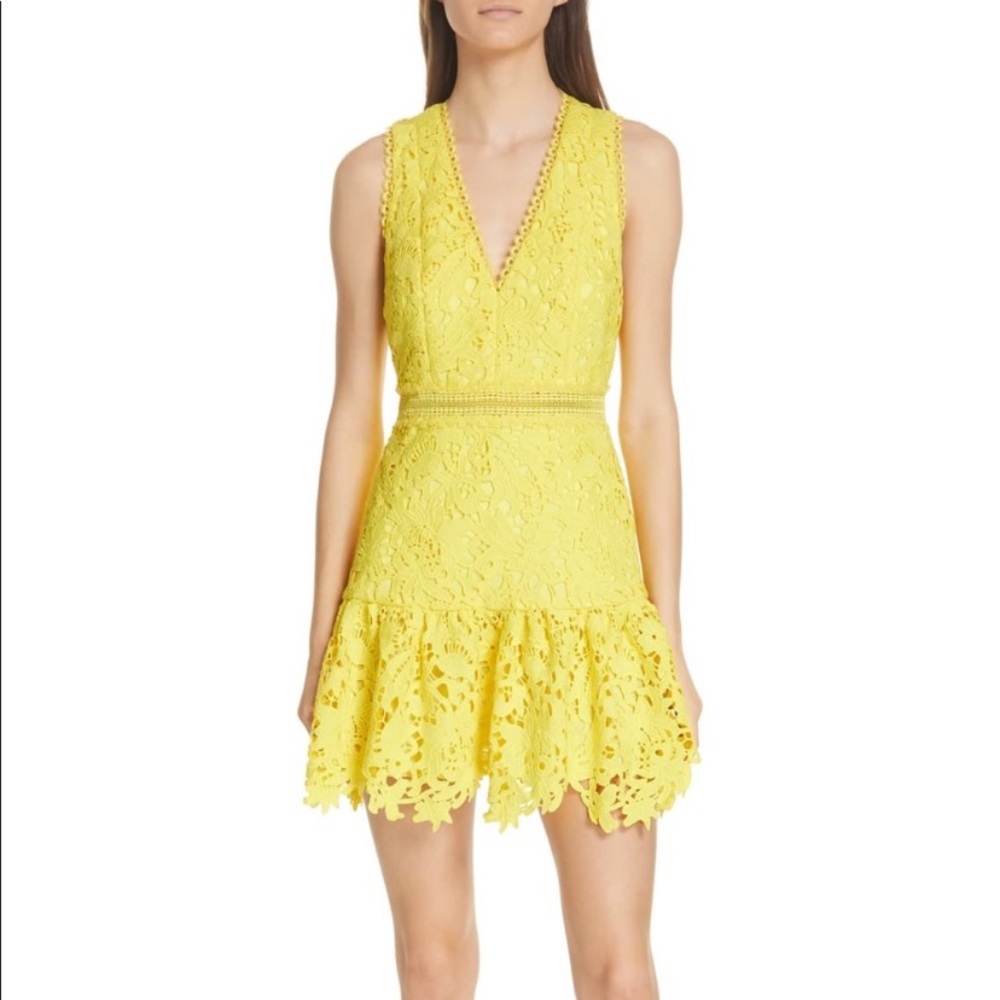 NWT Alice + Olivia Marleen Lace Overlay Dress